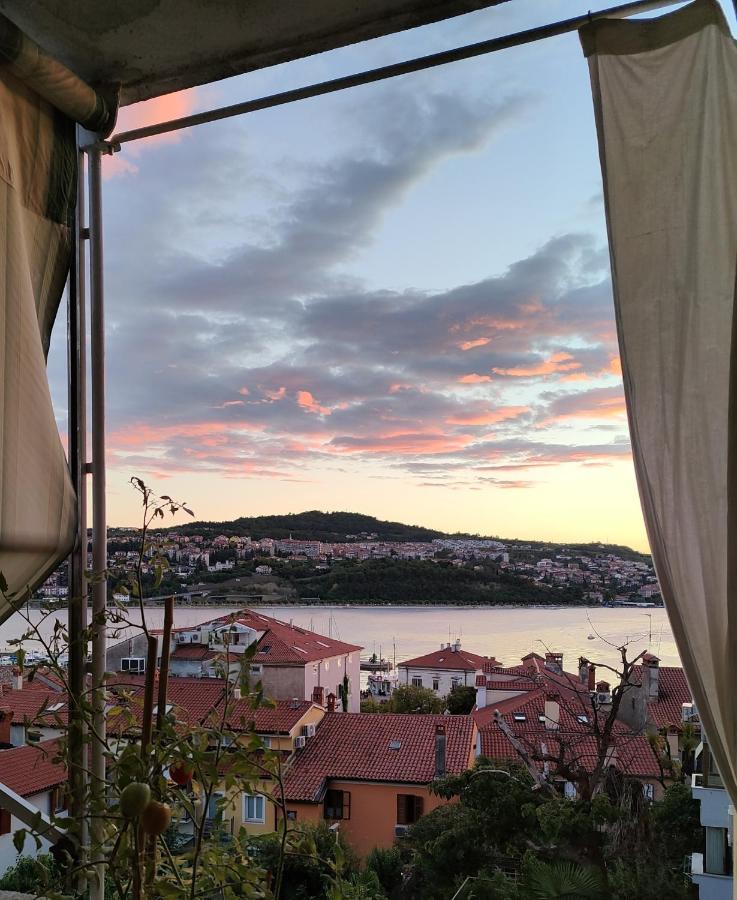 Appartement Maestral